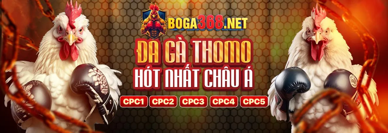 Sân đấu đá gà Daga88 trực tiếp hôm nay